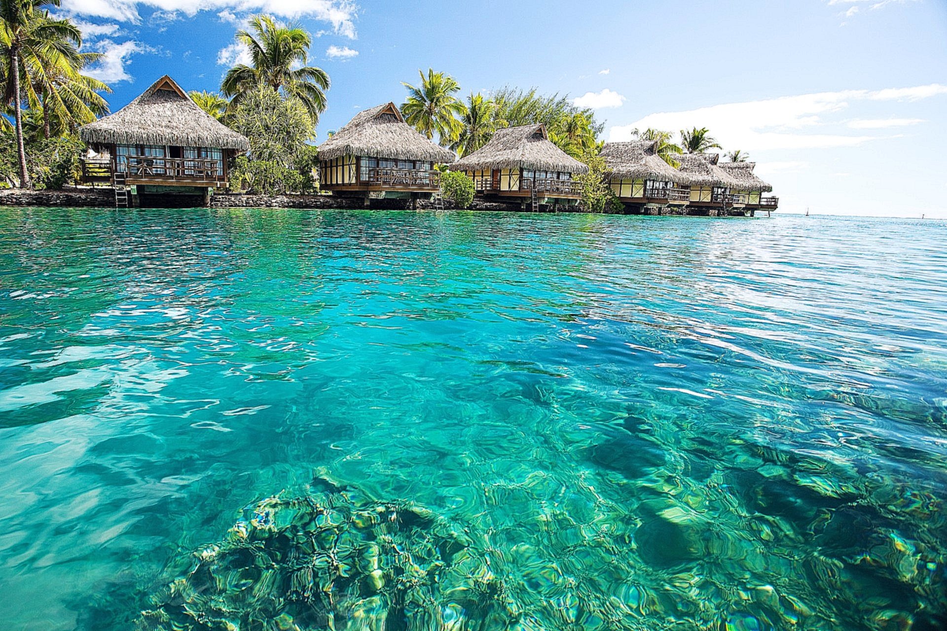 1621152141_1-pibig_info-p-bagamskie-ostrova-priroda-krasivo-foto-1