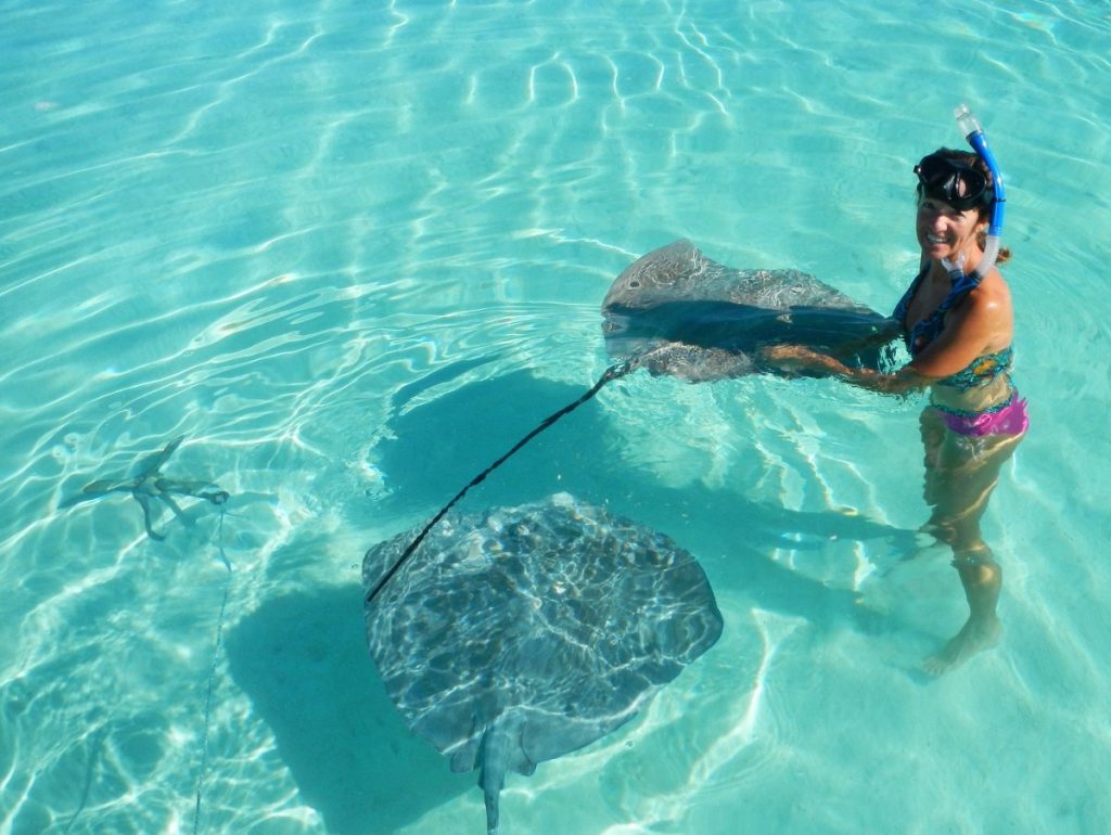 1662531582_4-krasivosti-pro-p-vidi-skatov-na-maldivakh-pinterest-5