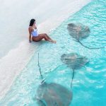 1662531637_1-krasivosti-pro-p-vidi-skatov-na-maldivakh-pinterest-1