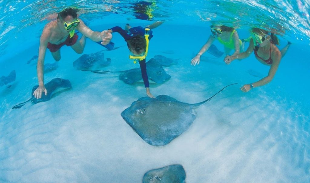 1667575496_52-sportishka-com-p-vidi-skatov-na-maldivakh-krasivo-55