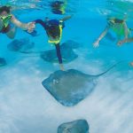 1667575496_52-sportishka-com-p-vidi-skatov-na-maldivakh-krasivo-55