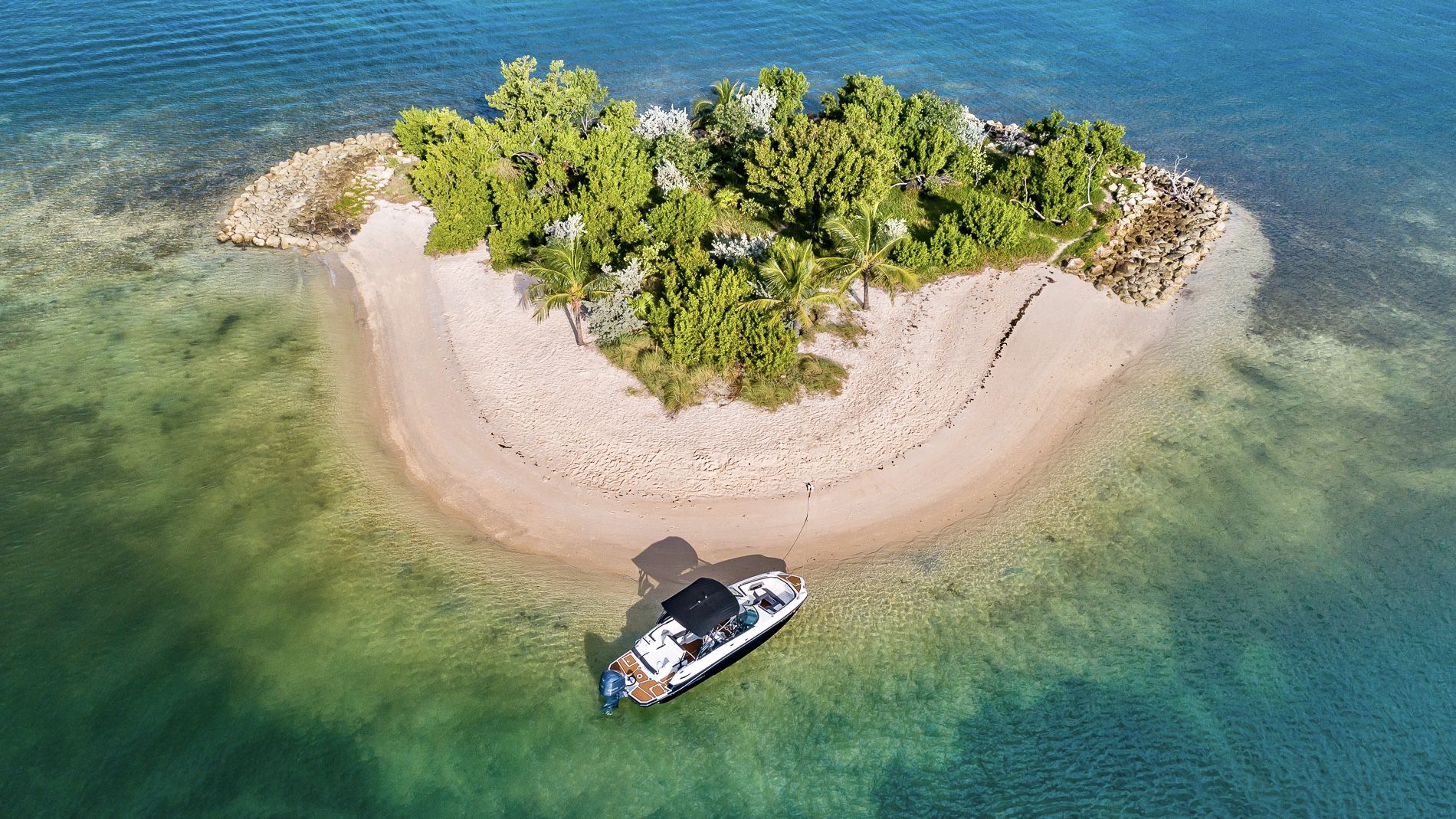 Photo Nov 03, 10 40 18 PM_compressed